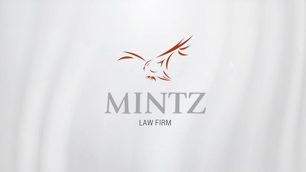 Mintz Law Firm